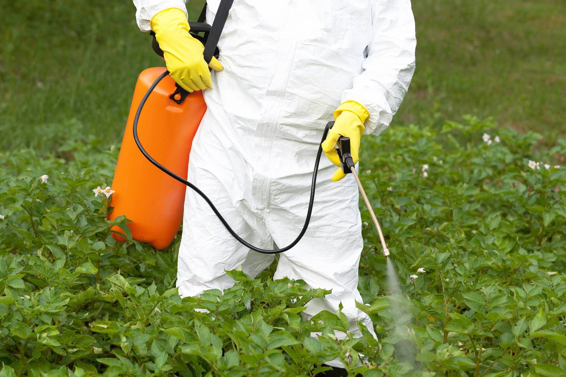 Смесь пестицидов усиливает свое влияние на растения– Парагро