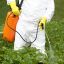 Смесь пестицидов усиливает свое влияние на растения