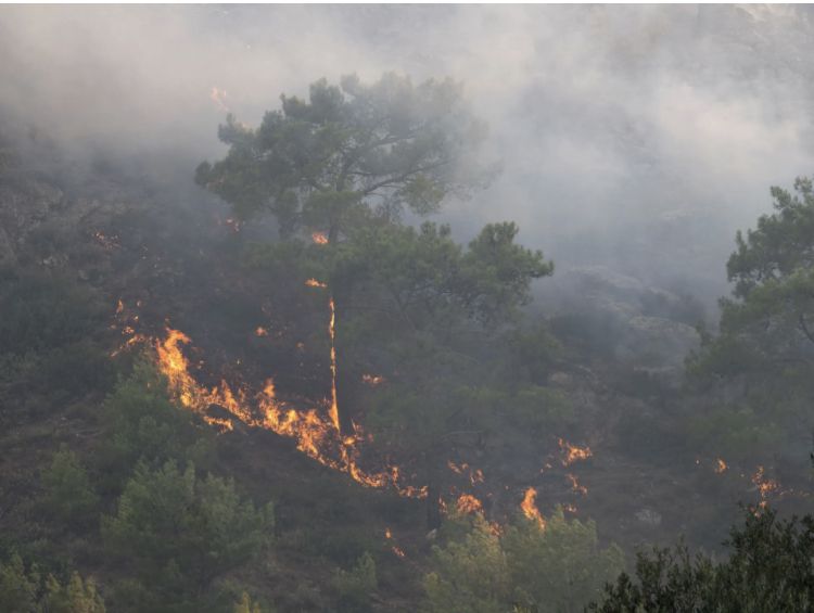 Лесные пожары в Канаде вышли из-под контроля  – Парагро