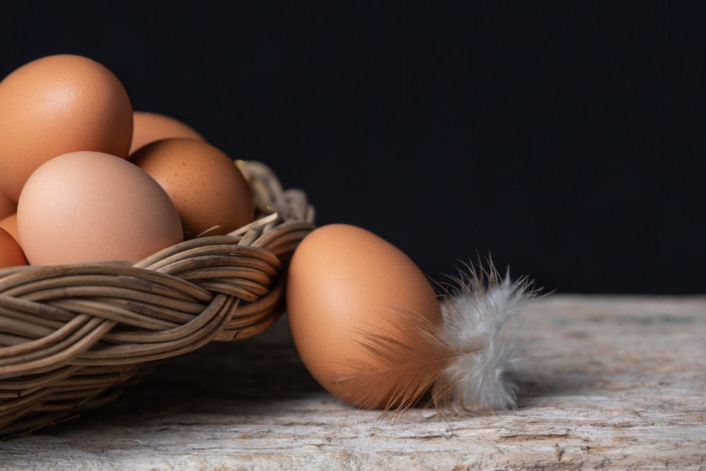 Производство яиц в России продолжает падать – Парагро