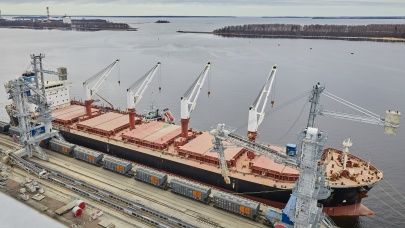 В Ленинградской области новый терминал отгрузил первую партию пшеницы весом 25 тысяч тонн – Парагро