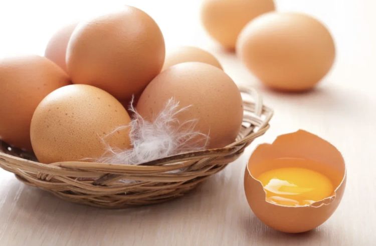 Про яйца. Или что задумали в правительстве для удержания цен  – Парагро
