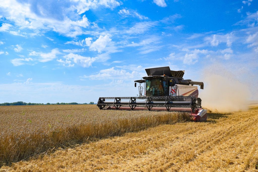 Россия может увеличить свою долю в глобальной торговле пшеницей – Парагро