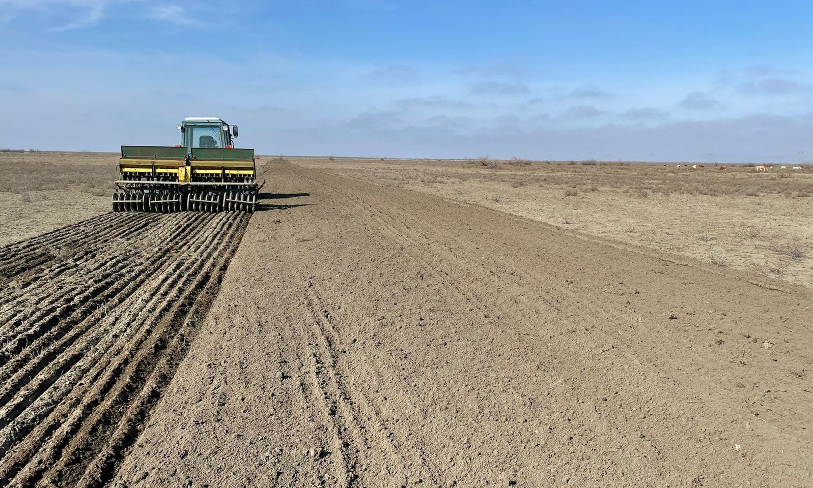 США поставили канадским фермерам план-максимум по севу яровой пшеницы – Парагро