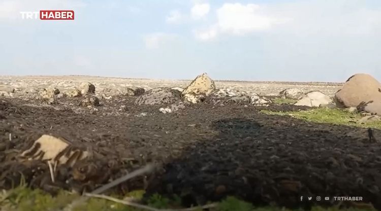 Шокирующее видео от фермеров Турции – Парагро