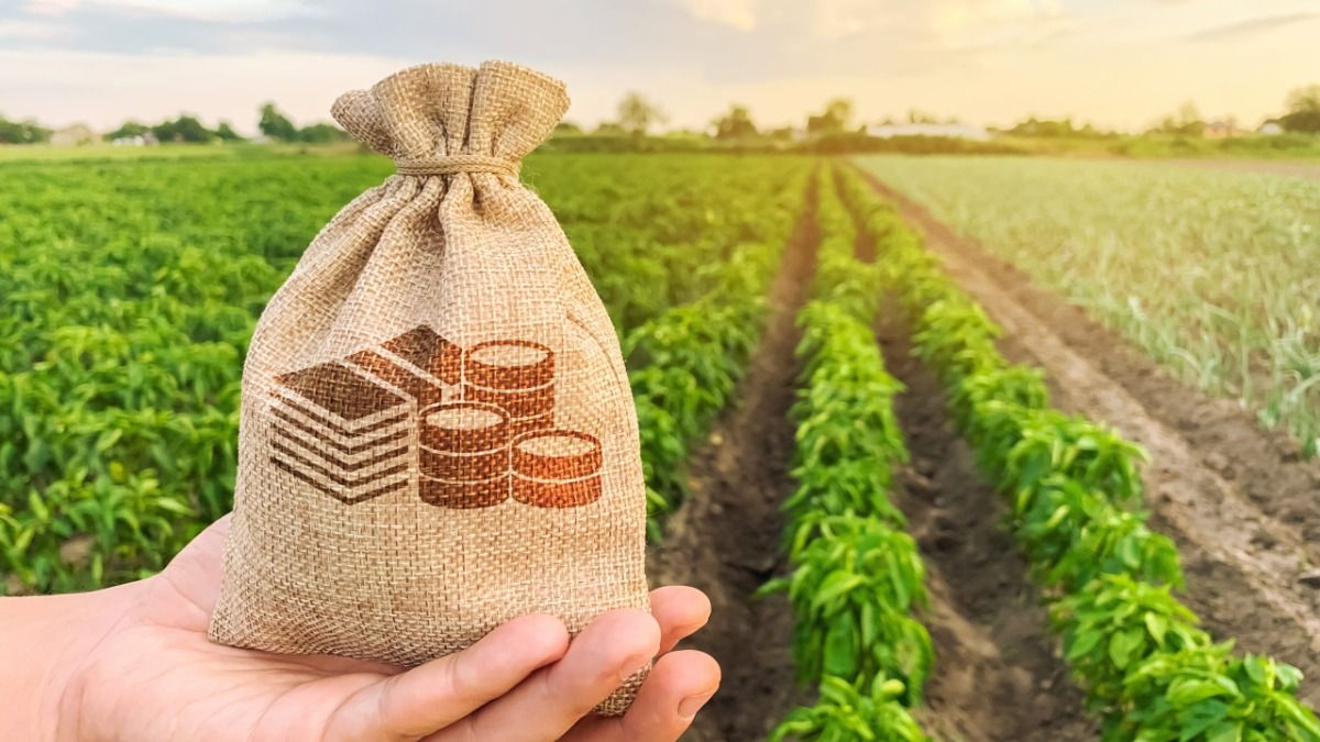Аграриям дадут 5 миллиардов рублей в виде льготных кредитов – Парагро
