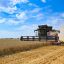 Россия может увеличить свою долю в глобальной торговле пшеницей