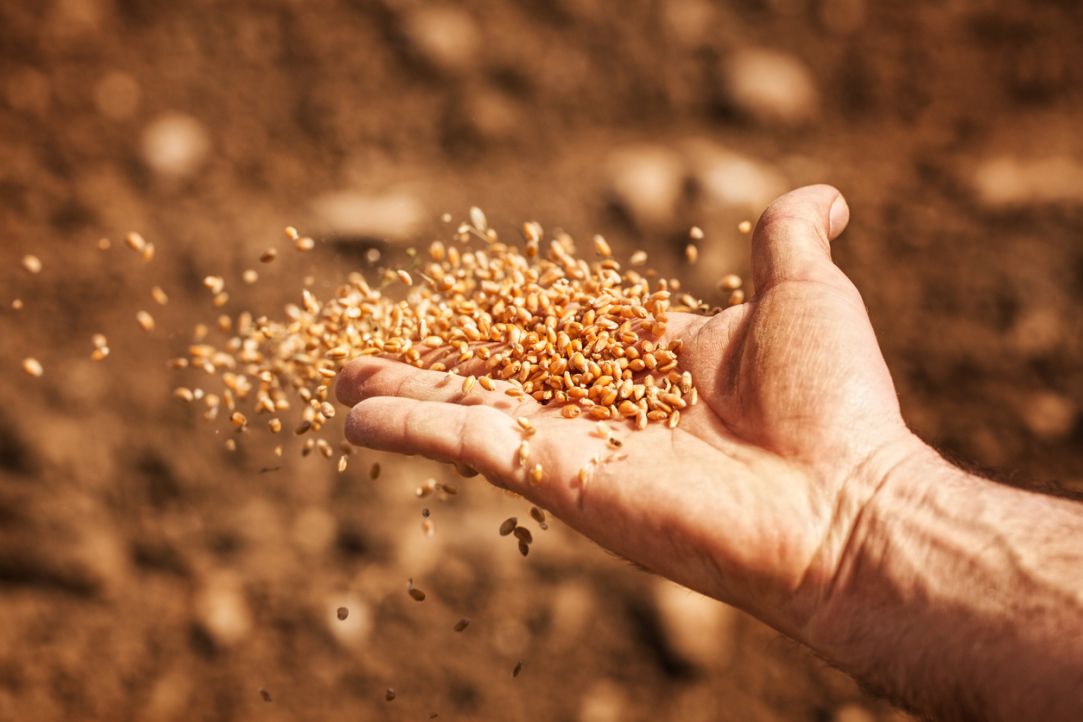 Льем под семена: John Deere разработала технологию внесения удобрений – Парагро