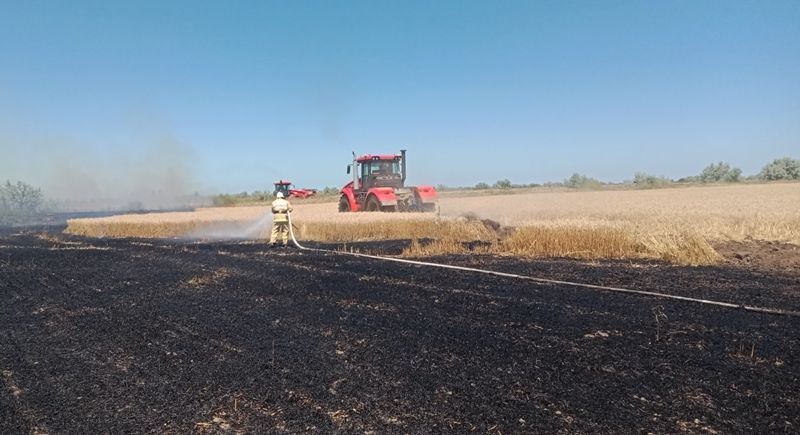 В Ставропольском крае аграрии лишились 7 млн рублей – Парагро