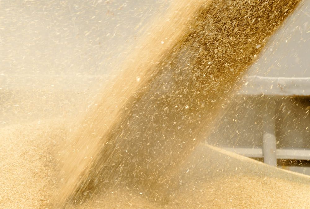 Транспортный хаб для экспорта зерна из России создаётся в Иране – Парагро