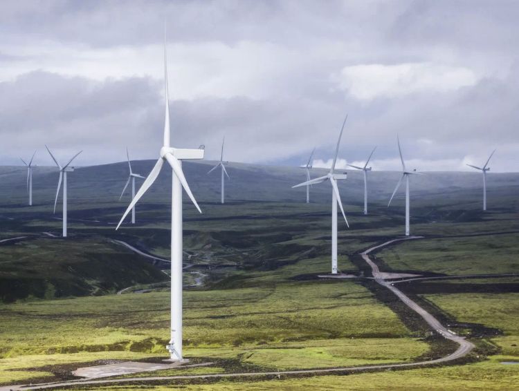 В Северной Ирландии больше половины электроэнергии добывается ветром – Парагро