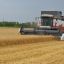 В Приднестровье отчитались об итогах уборки зерновых