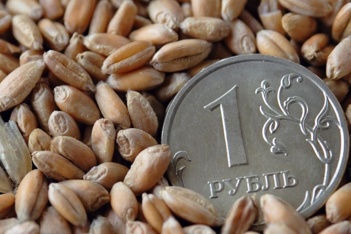 Урожай зерна в Краснодарском крае пока оценивается скромно, а вот ситуация с ценами на экспорт радует – Парагро