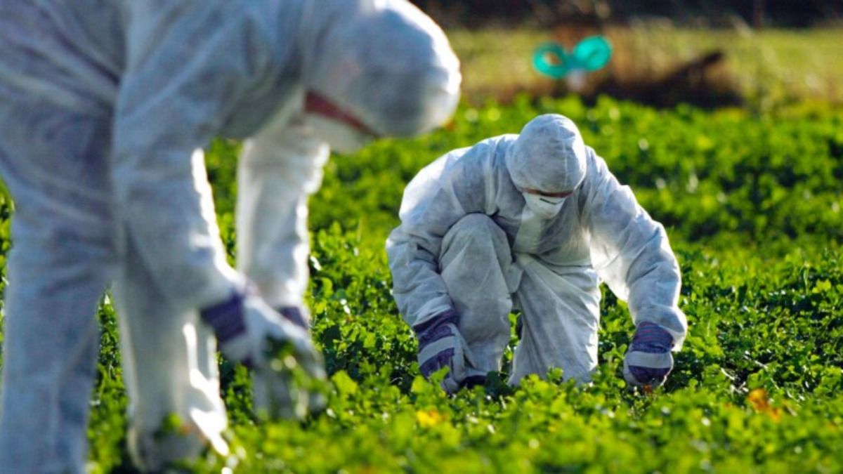 В Европе изучают использование человеческих экскрементов для сельского хозяйства – Парагро