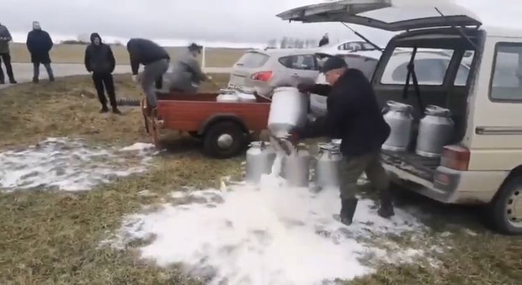 Фермеры выливают молоко на землю + видео – Парагро