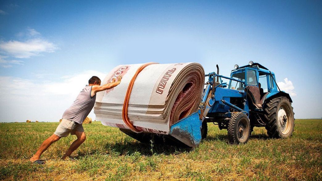 Как выросла зарплата в сельском хозяйстве и какие вакансии стали ТОП – Парагро