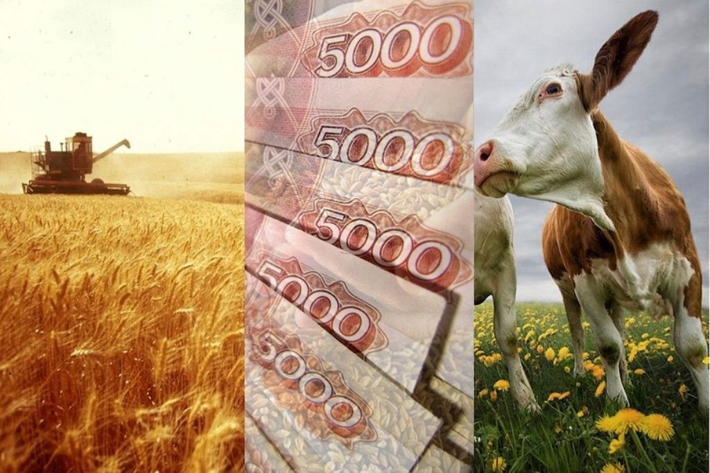 Более 800 млн рублей отправятся в три региона на обновление сельхозпредприятий – Парагро