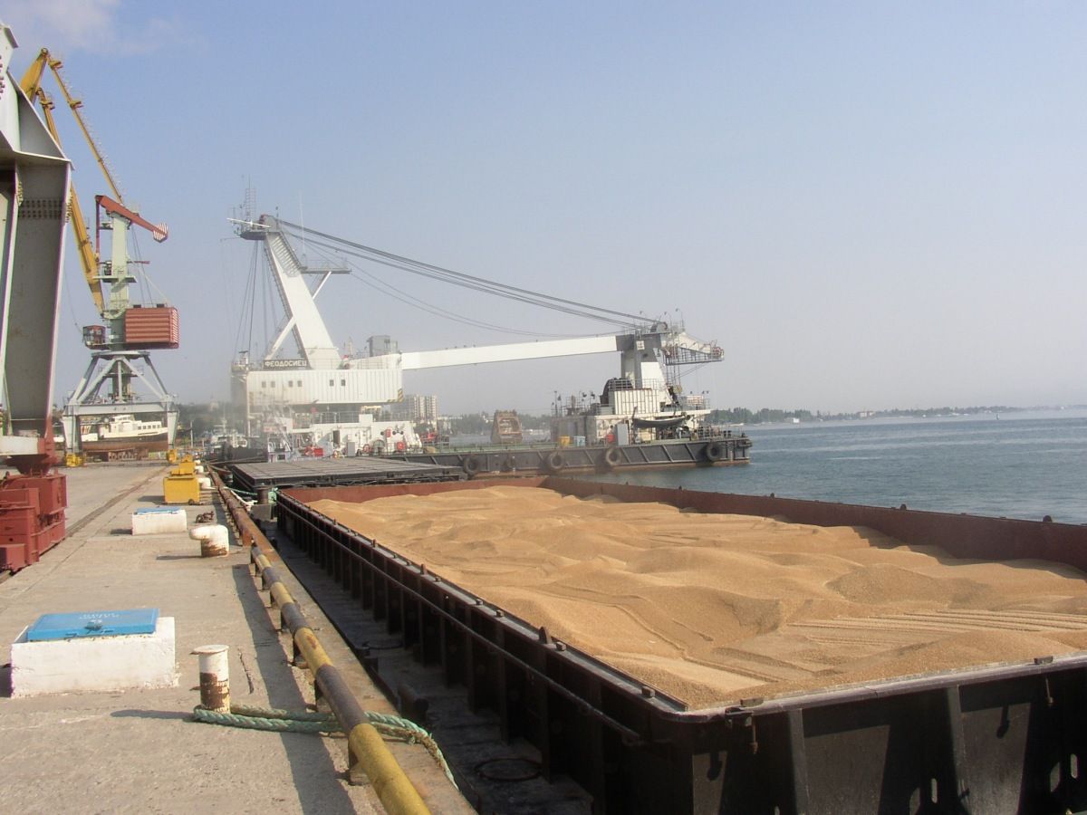В России будет собственный флот для экспорта зерна – Парагро