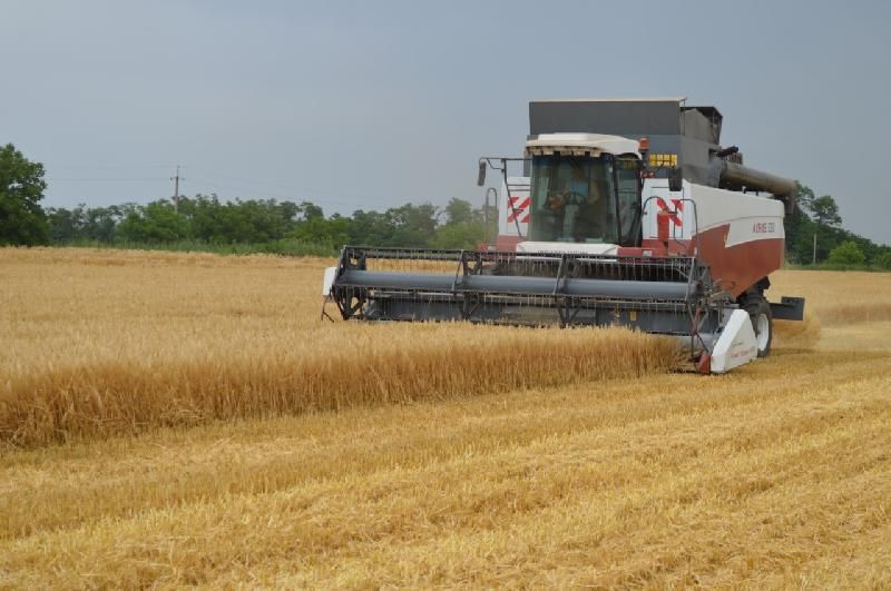 В Приднестровье отчитались об итогах уборки зерновых – Парагро