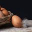 В России отменили пошлины на ввоз яиц на полгода